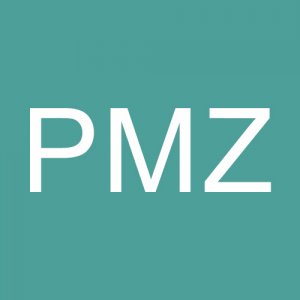 轴承PMZ精品商标